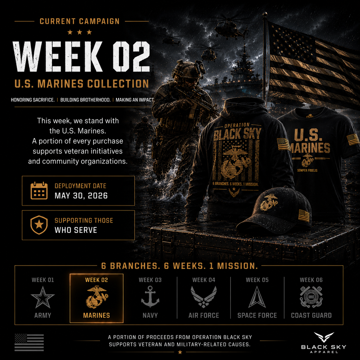 Current Campaign
