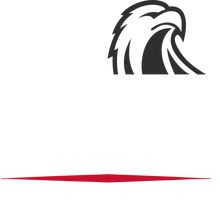 The Flock — Boys